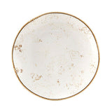 Connellsville Reactive Glaze 10" Dinner Plate (4 dinner plates)