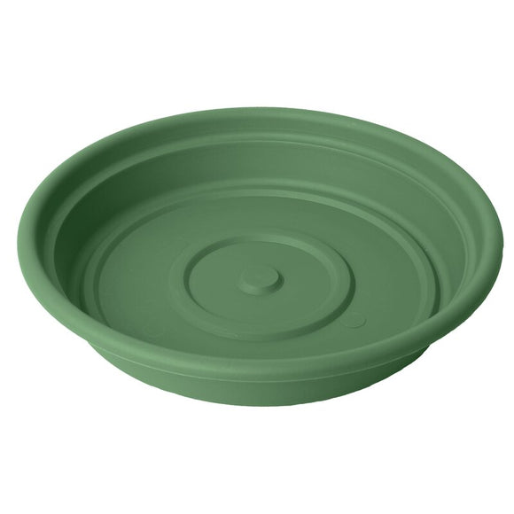 plant saucer 24 inch Bloem 10" Dura Cotta Plant Saucer, Living Green